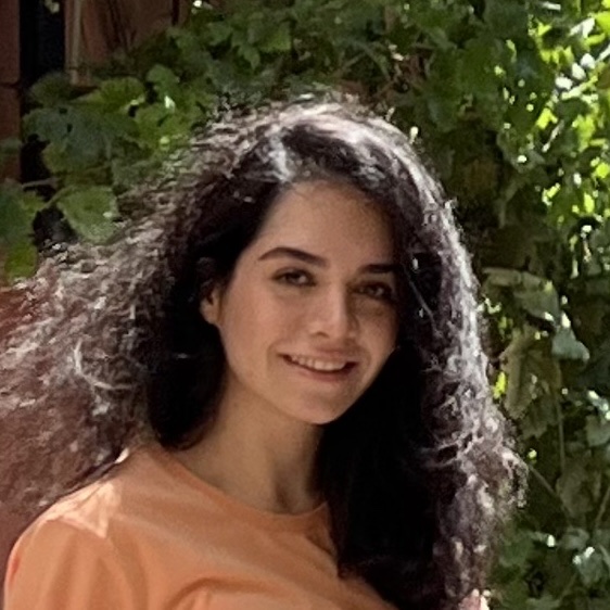 Dorsa Vazirzade