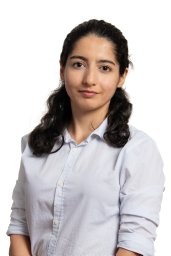 Parisa Hamedi